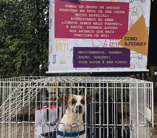 Captura De Tela 2020 01 13 Às 15.58.09