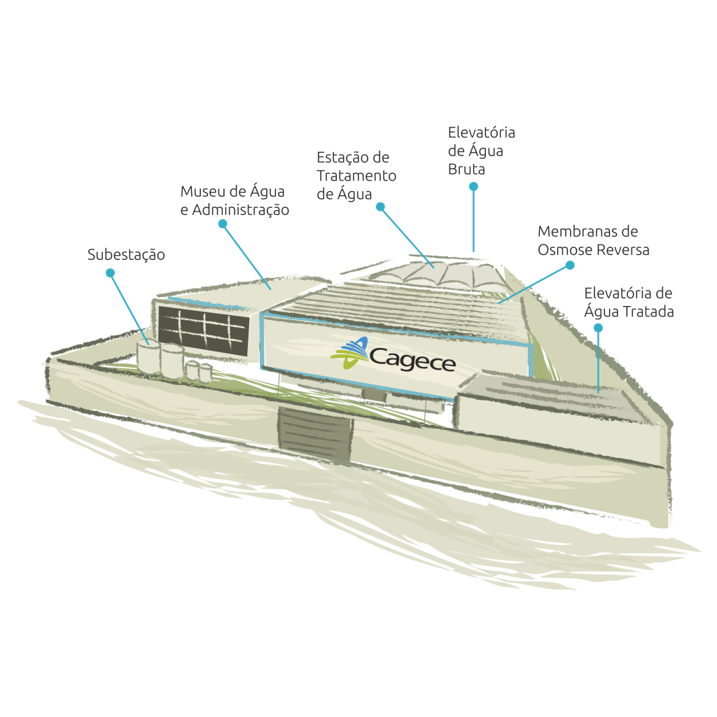 Ilustração Dessal Com Texto