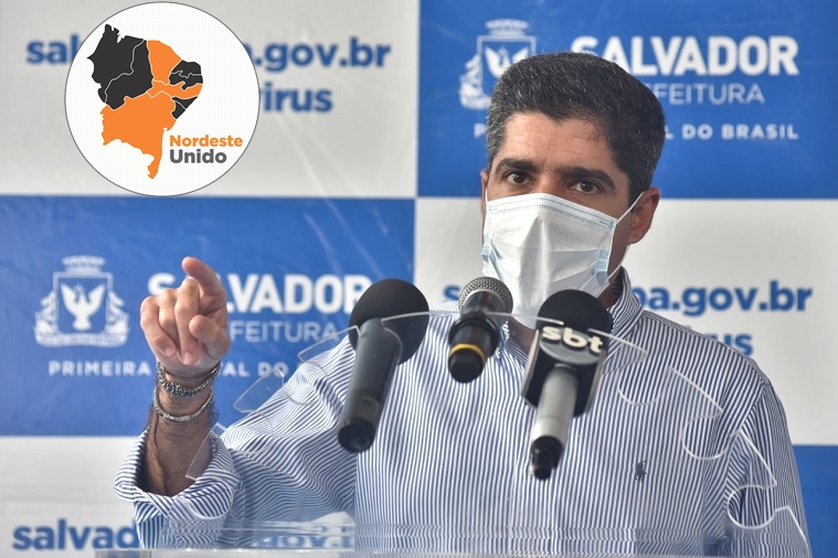 Acmnetotestagens Alo Alo Bahia