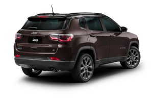 Compass S 0002 Large