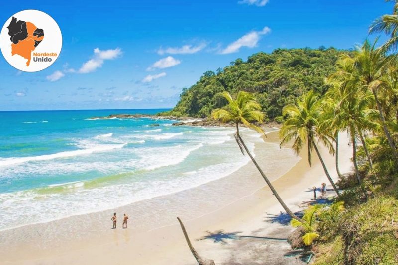 Turismo em Itacaré começa a ser retomado a partir desta sexta-feira (14) Turismo em Itacaré começa a ser retomado a partir desta sexta-feira (14)