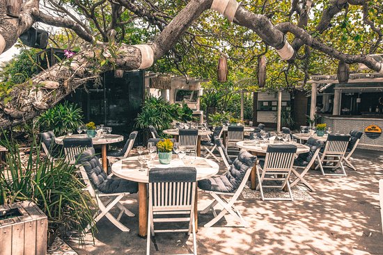 Area Externa Zoi By Colosso