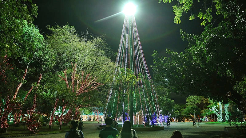 Natal 2018 Ares Soares