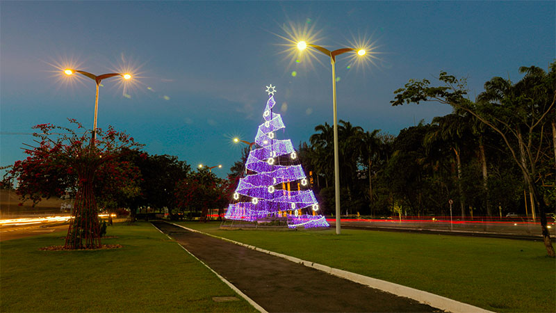 Natal Unifor Arvore 2020 Foto Ares Soares 800px