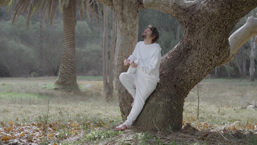 C0060.mp4 Rendered.mov.00 17 36 20.still001 1