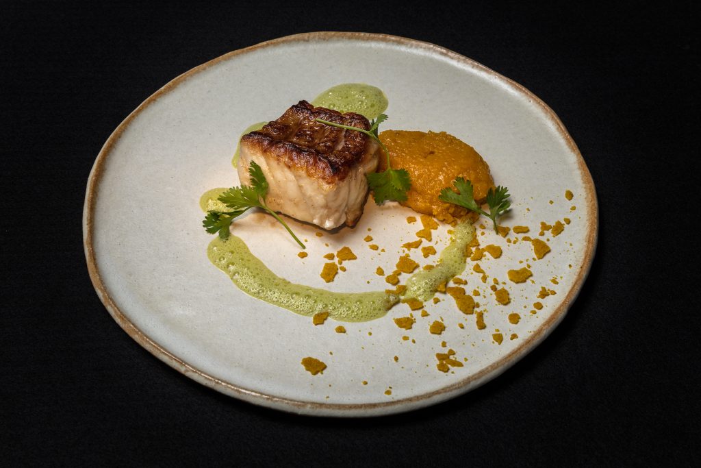 Peixecompirão Foto Gentibarreira