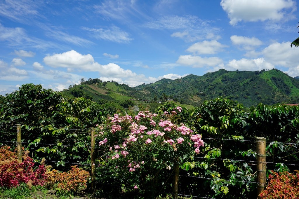 B1729f07 Ff4d 47c6 Aa36 2e6f4ca0f83f