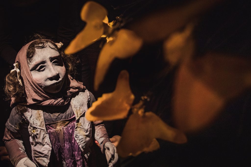 Crédito Maciel Goelzer (1)